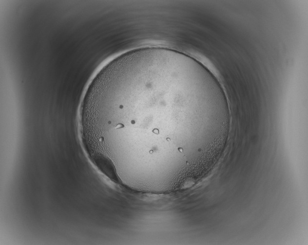 X0000114221056200910161304