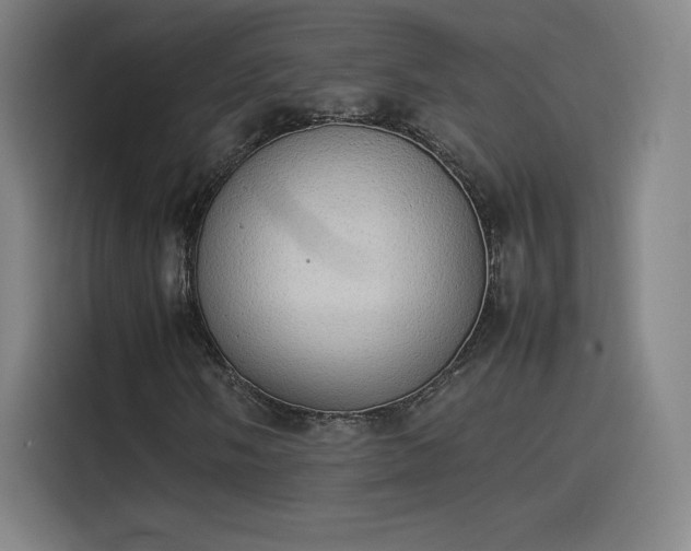 X0000114221058200910161303