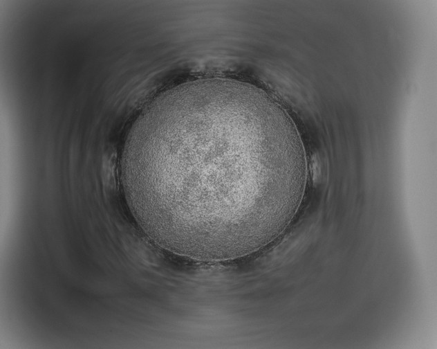 X0000114221059200910161303