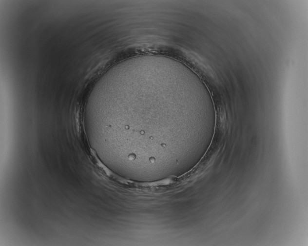 X0000114221060200910161303