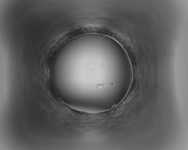 X0000114221061200910161303