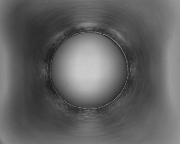 X0000114221062200910161303