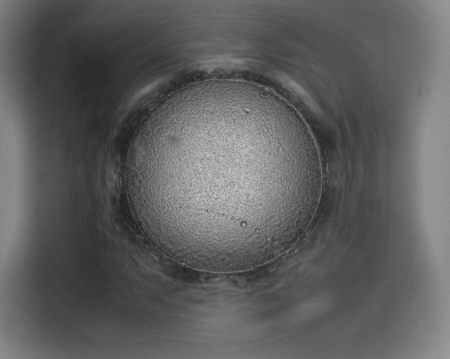 X0000114221063200910161303