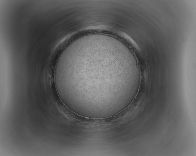 X0000114221064200910161303