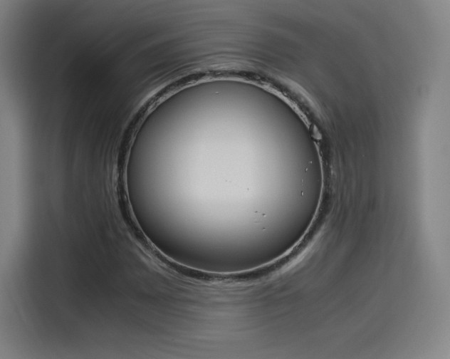 X0000114221065200910161303