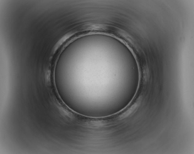 X0000114221066200910161303