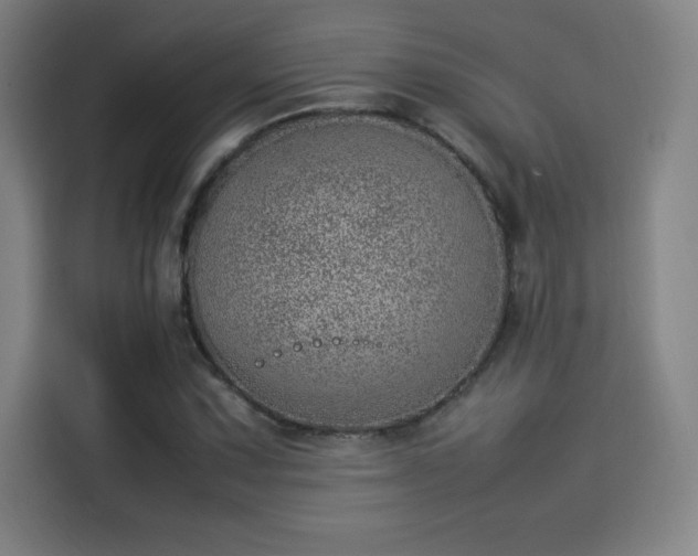 X0000114221067200910161303