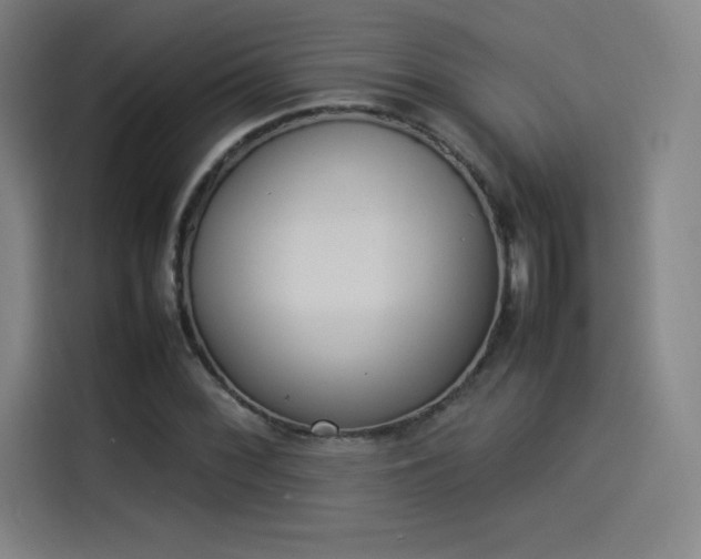 X0000114221068200910161303