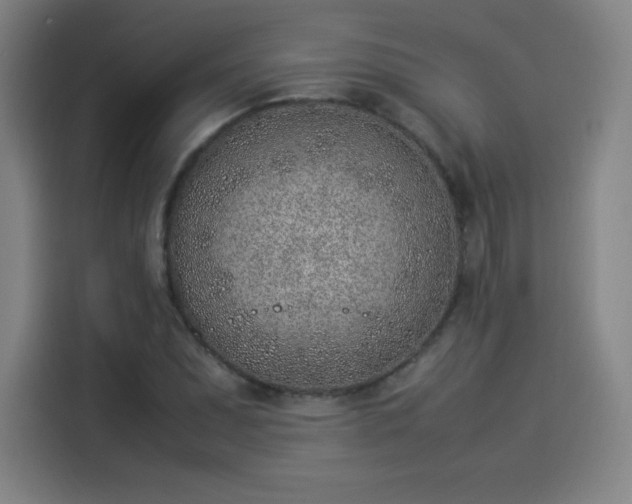 X0000114221071200910161303