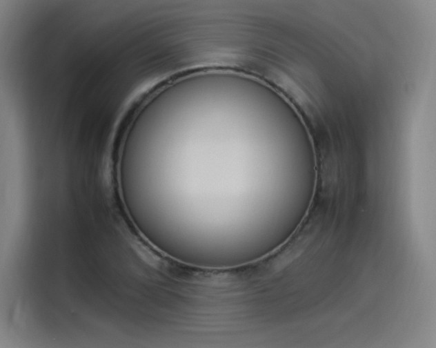 X0000114221072200910161303