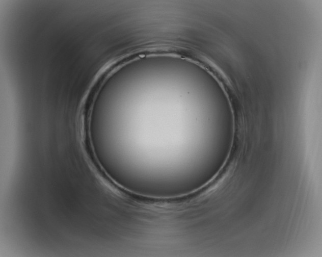 X0000114221075200910161303