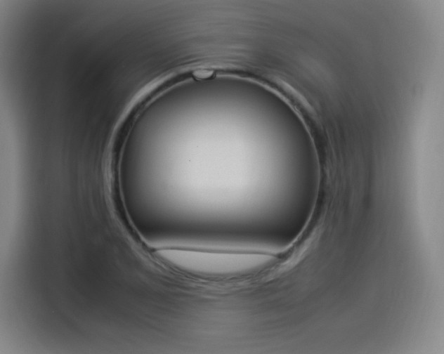 X0000114221077200910161303