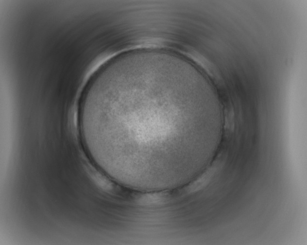 X0000114221078200910161303