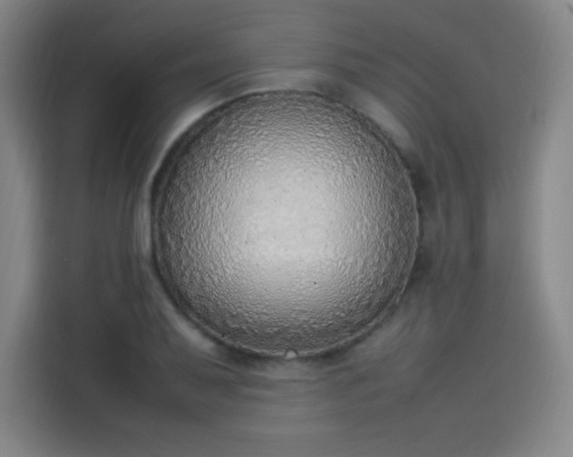 X0000114221079200910161303