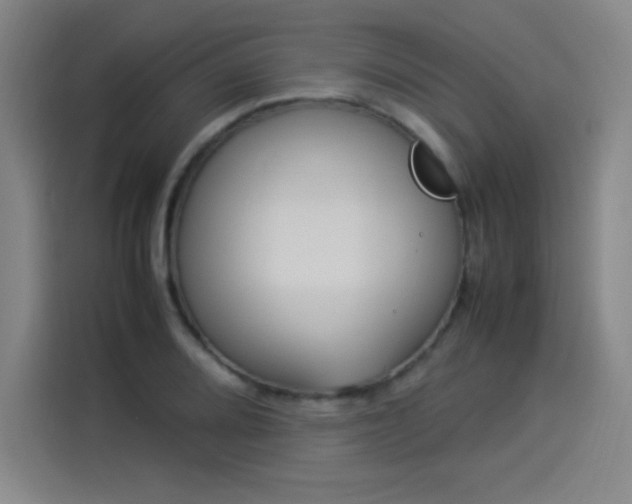 X0000114221080200910161303