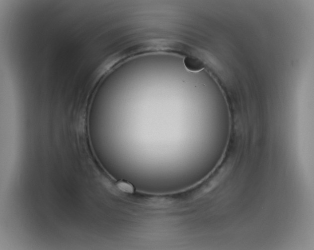 X0000114221081200910161303