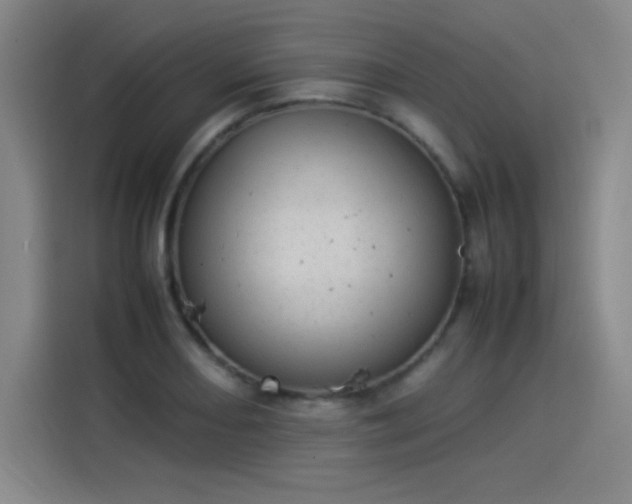 X0000114221082200910161303