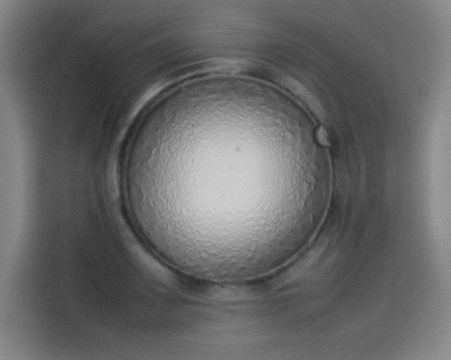 X0000114221083200910161303