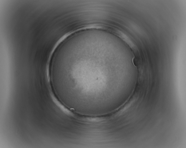 X0000114221084200910161303