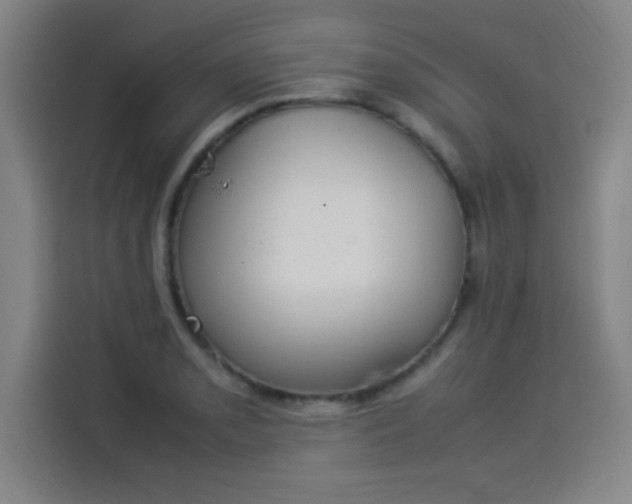 X0000114221085200910161303