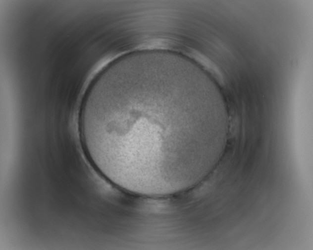 X0000114221086200910161303