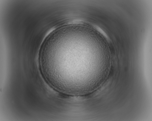 X0000114221087200910161303