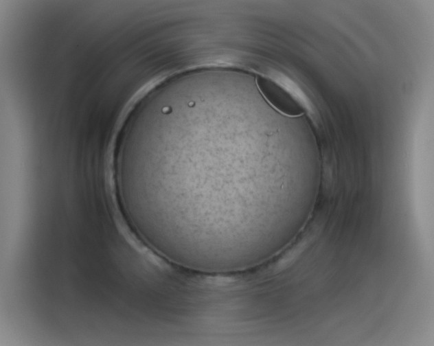 X0000114221088200910161303