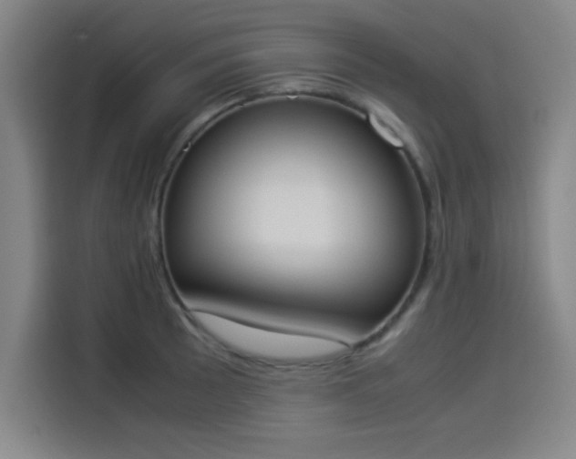 X0000114221089200910161303