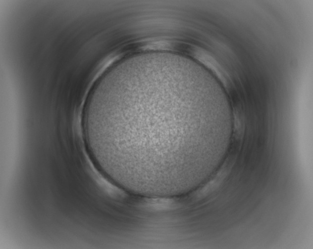 X0000114221090200910161302