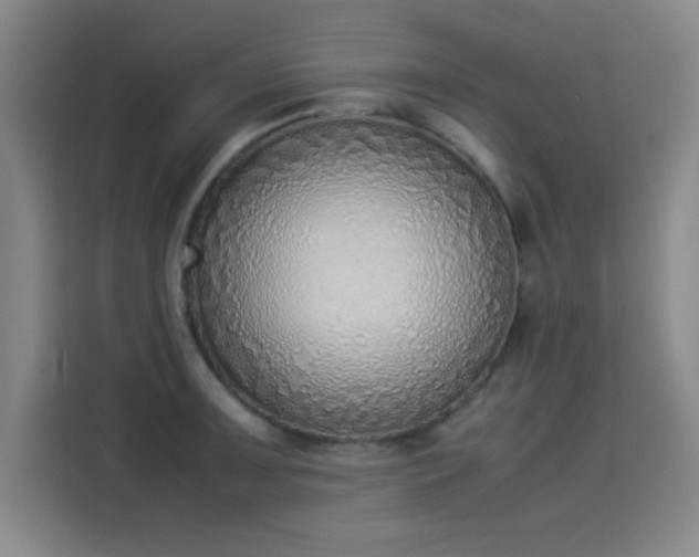 X0000114221091200910161302