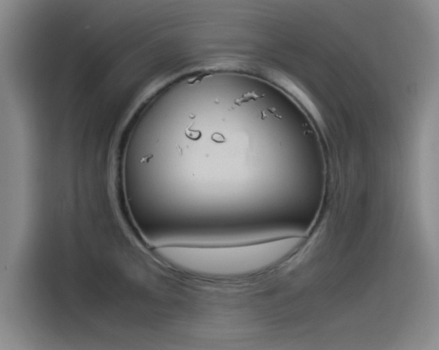 X0000114221093200910161302