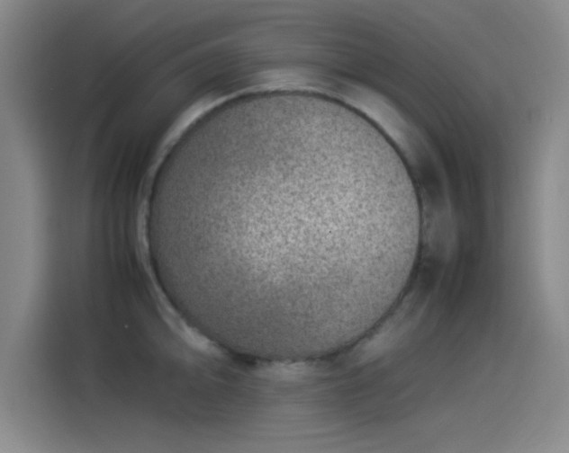 X0000114221094200910161302