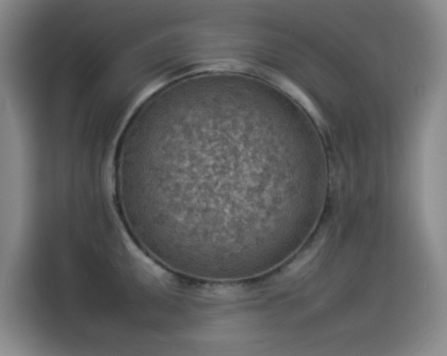 X0000114221095200910161302