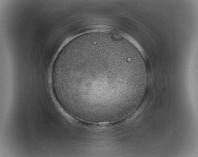 X0000114221099200910161302