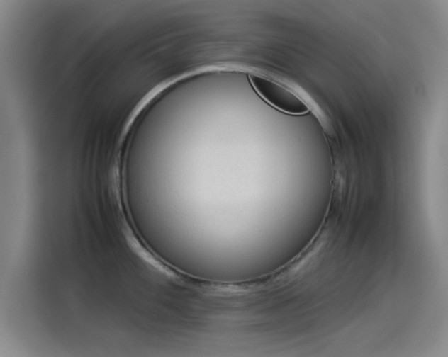 X0000114221100200910161302