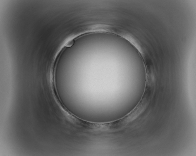 X0000114221101200910161302