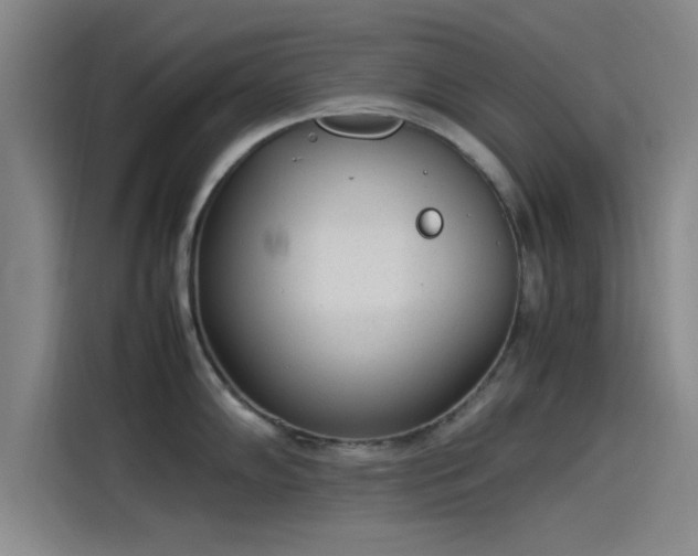 X0000114221102200910161302