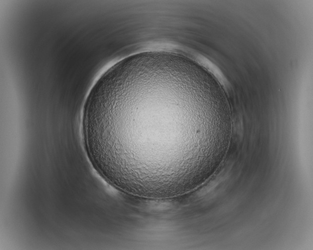 X0000114221103200910161302