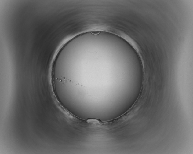 X0000114221104200910161302