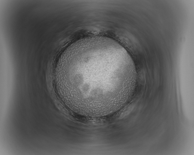 X0000114221105200910161302