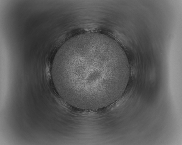 X0000114221106200910161302