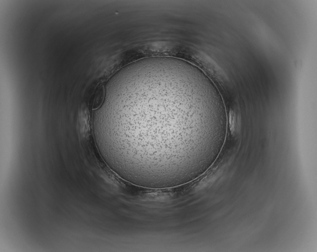 X0000114221107200910161302