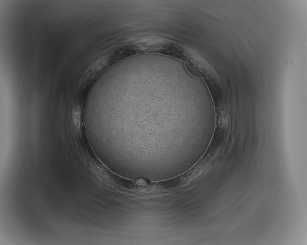 X0000114221108200910161302