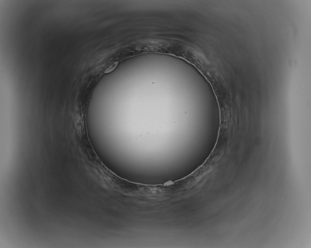 X0000114221109200910161302