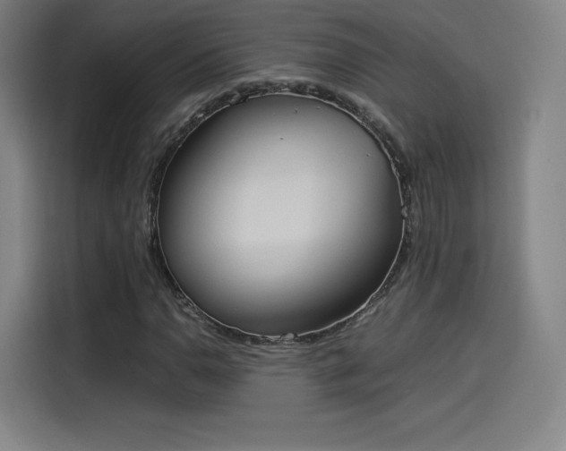 X0000114221110200910161302