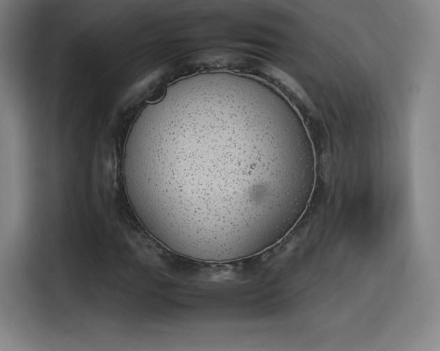 X0000114221111200910161302