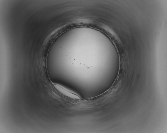 X0000114221112200910161302