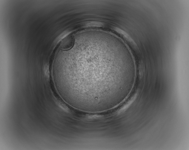 X0000114221113200910161302