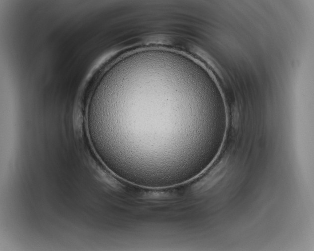 X0000114221115200910161302