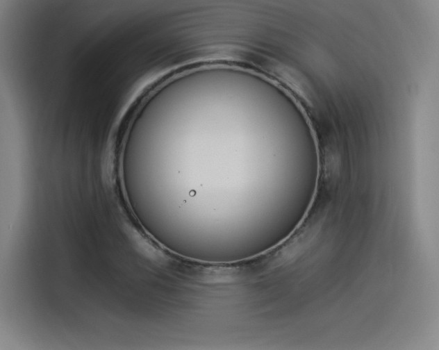 X0000114221116200910161302